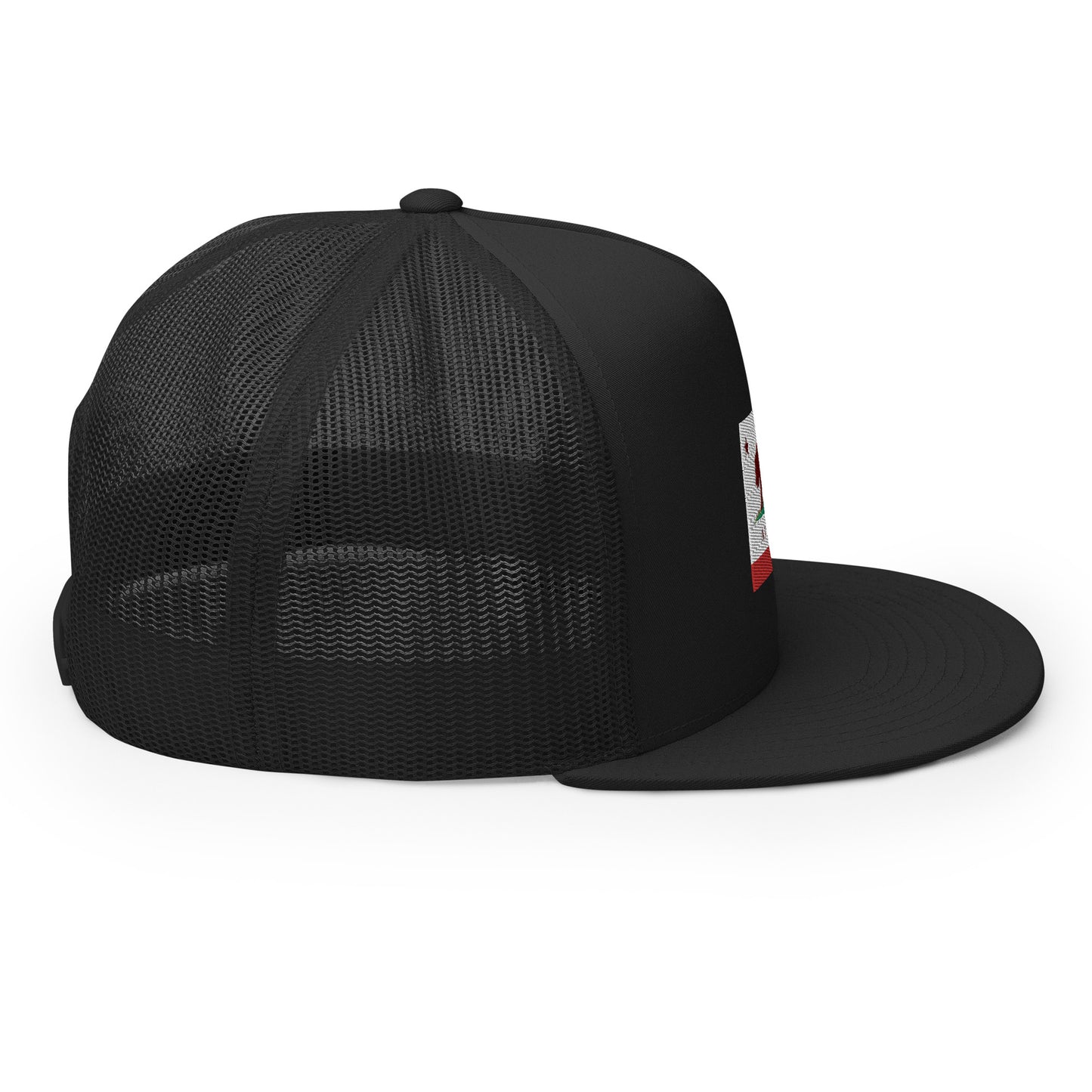 Black Alamo Snapback Hat 
