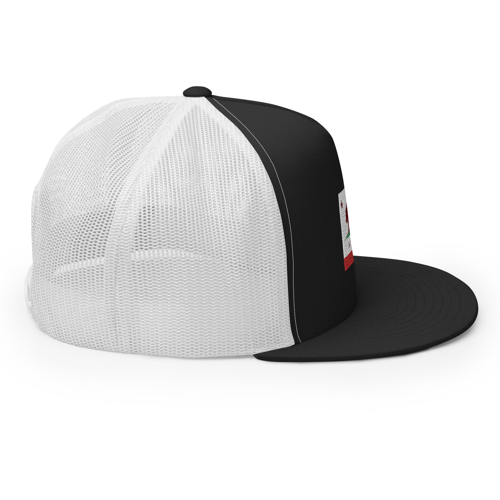 Alamo CA Snapback Hat 