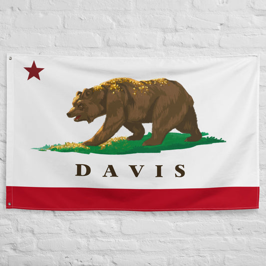 Davis City Flag