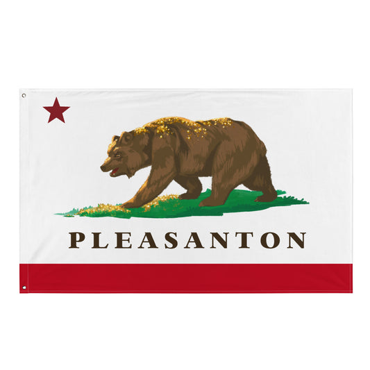 Pleasanton City Flag